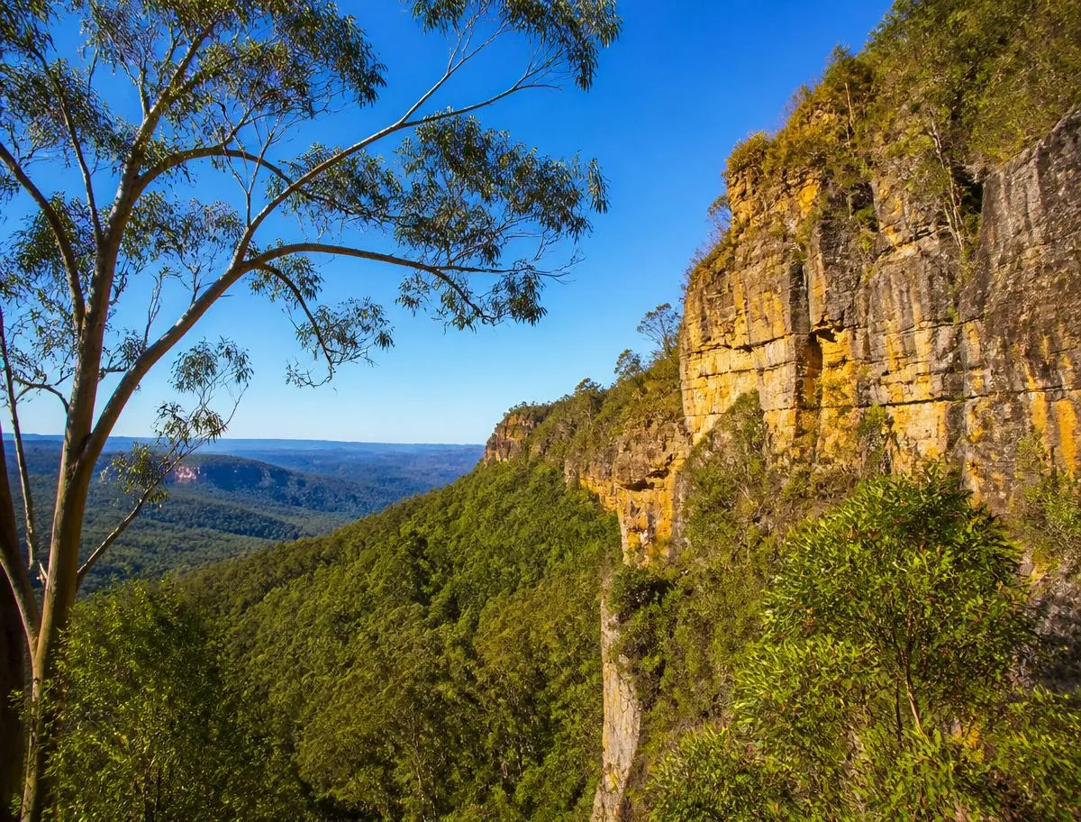 Scenic Queensland countryside